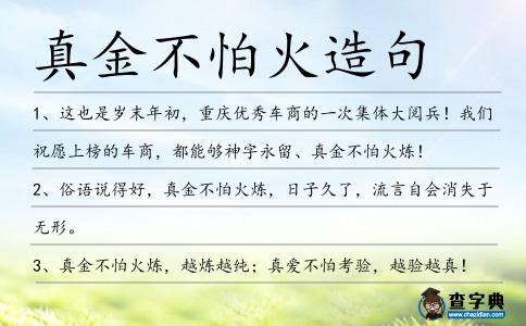 真金不怕火造句