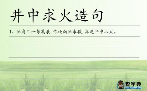井中求火造句