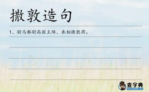撒敦造句