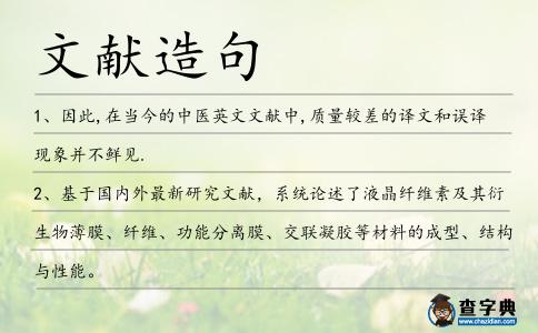 文獻造句