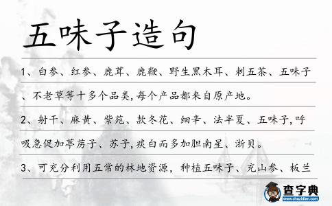 五味子造句
