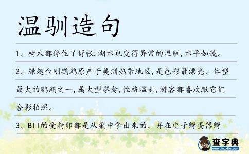 溫馴造句