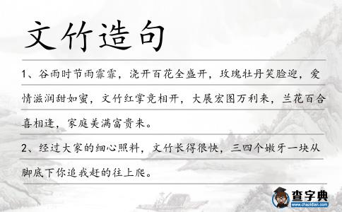 文竹造句