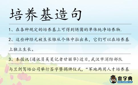 培養(yǎng)基造句