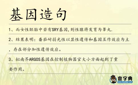 基因造句
