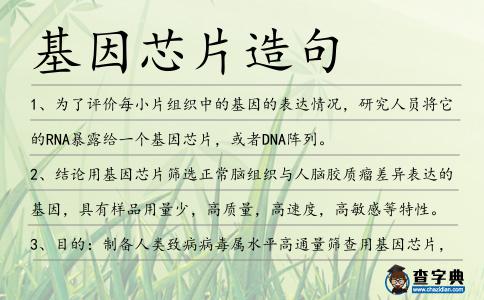 基因芯片造句