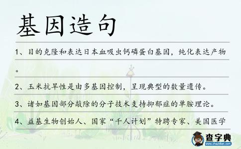 基因造句