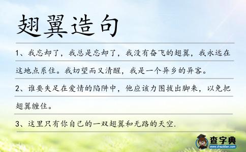 翅翼造句
