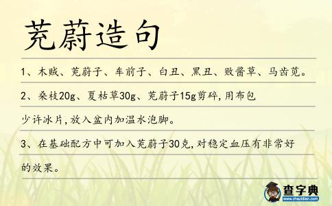 茺蔚造句