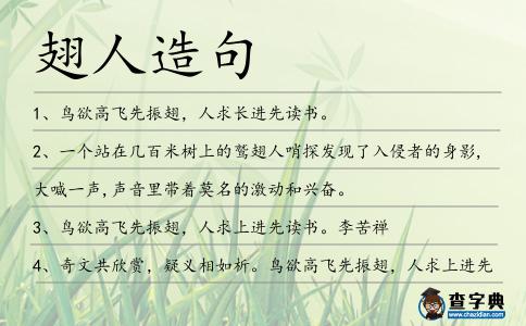 翅人造句