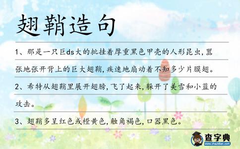 翅鞘造句