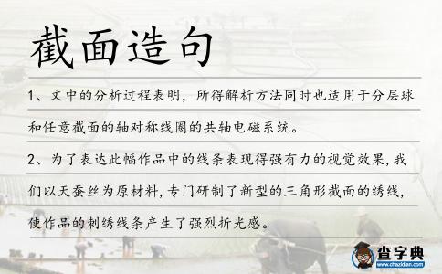 截面造句