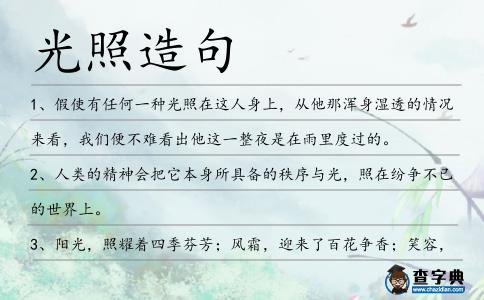 光照造句