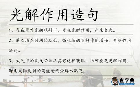 光解作用造句