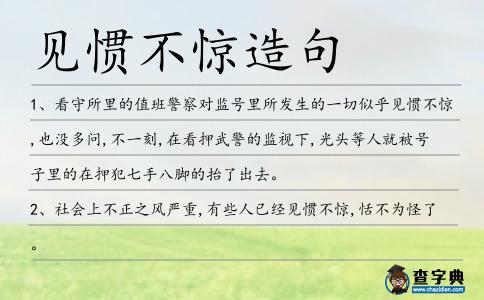 見慣不驚造句