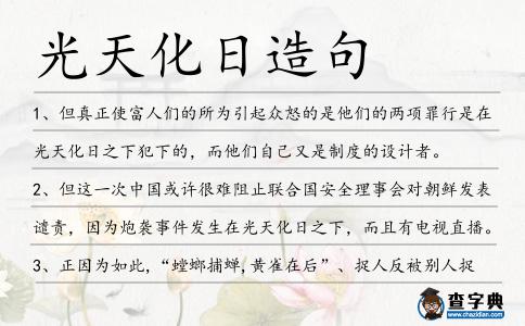 光天化日造句