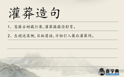 灌莽造句