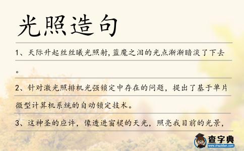 光照造句