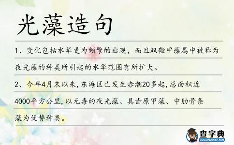 光藻造句