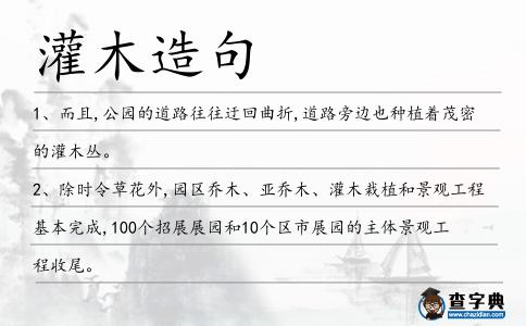 灌木造句