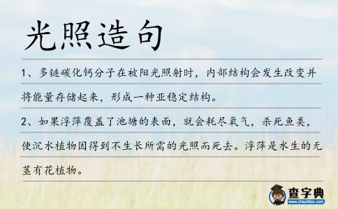 光照造句