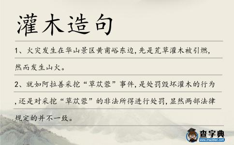灌木造句