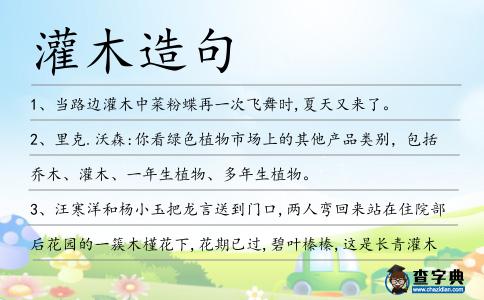 灌木造句