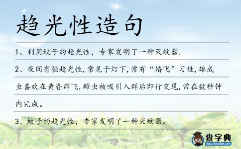 趨光性造句