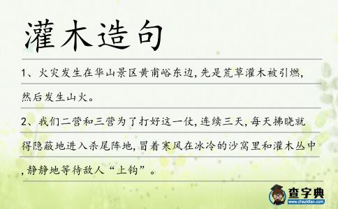 灌木造句