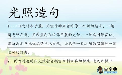 光照造句