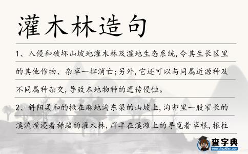 灌木林造句