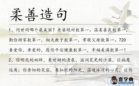 柔善造句