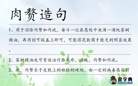 肉贅造句