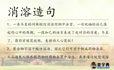 消溶造句