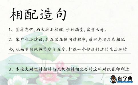 相配造句