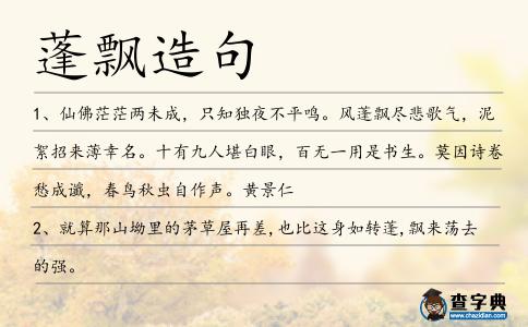 蓬飄造句