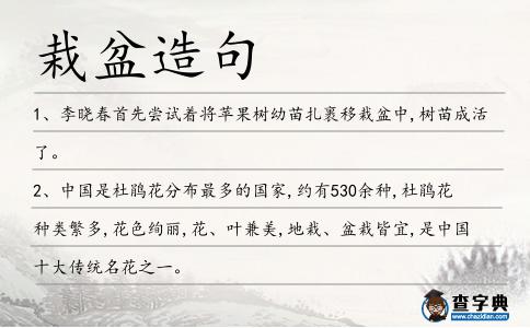 栽盆造句