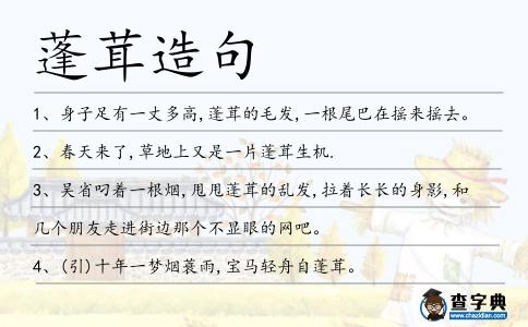 蓬茸造句