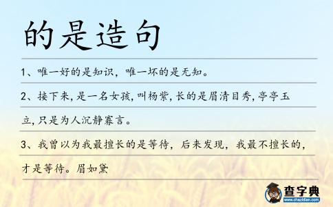 的是造句