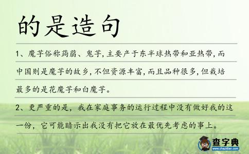 的是造句