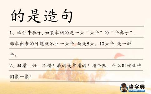 的是造句