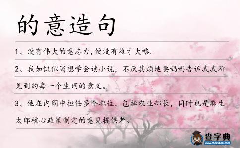 的意造句