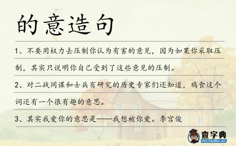 的意造句