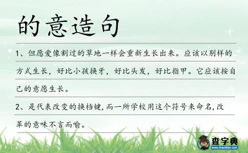 的意造句