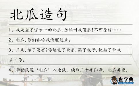 北瓜造句