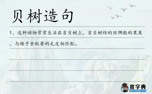 貝樹造句