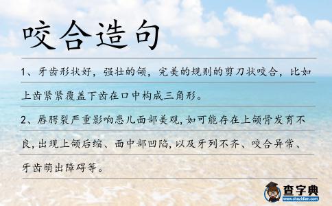 咬合造句