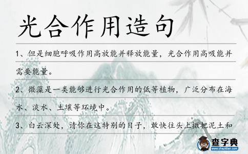 光合作用造句