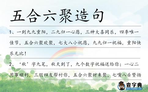 五合六聚造句