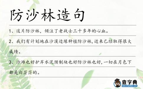 防沙林造句